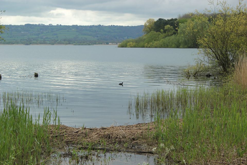 Chew Valley Lake