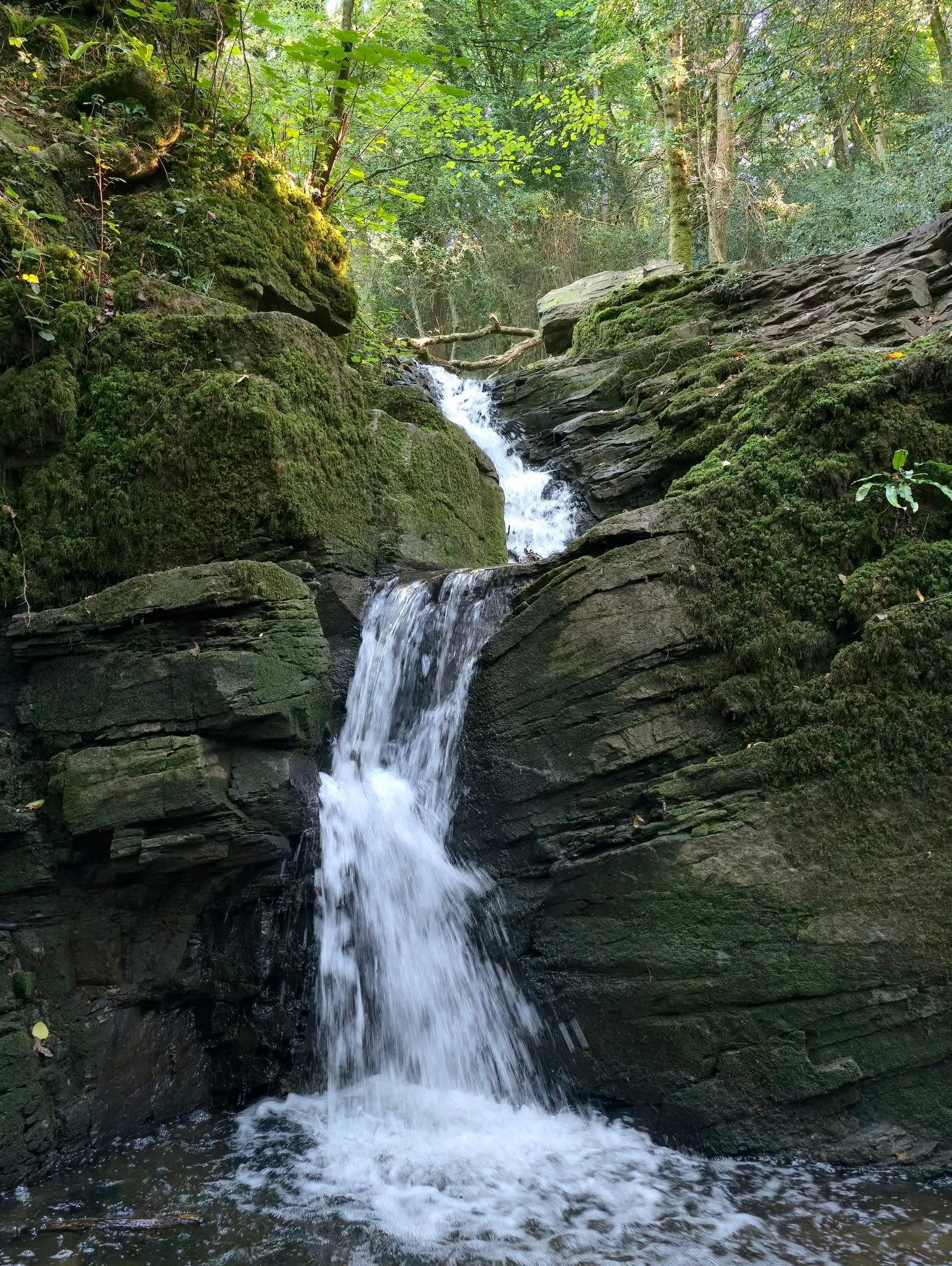 Stephen's Vale Waterfall